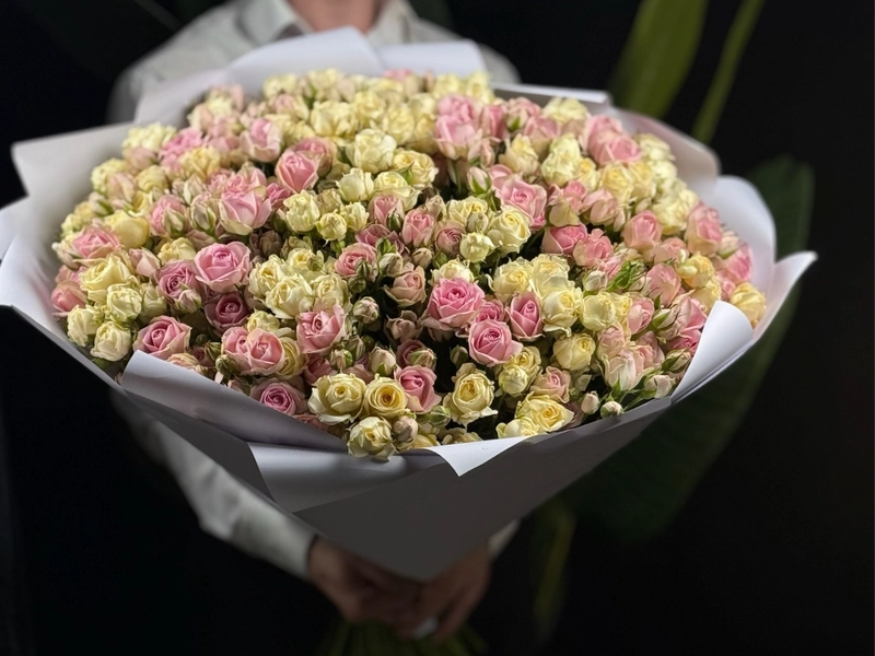 51 КУСТОВАЯ РОЗА