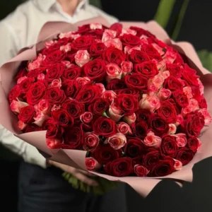 151 РОЗА